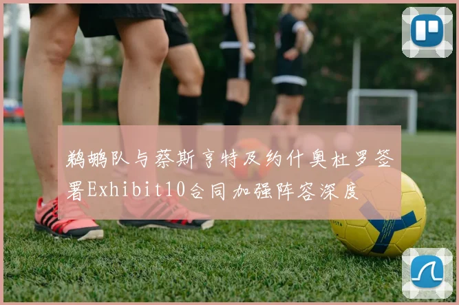 鹈鹕队与蔡斯亨特及约什奥杜罗签署Exhibit10合同加强阵容深度